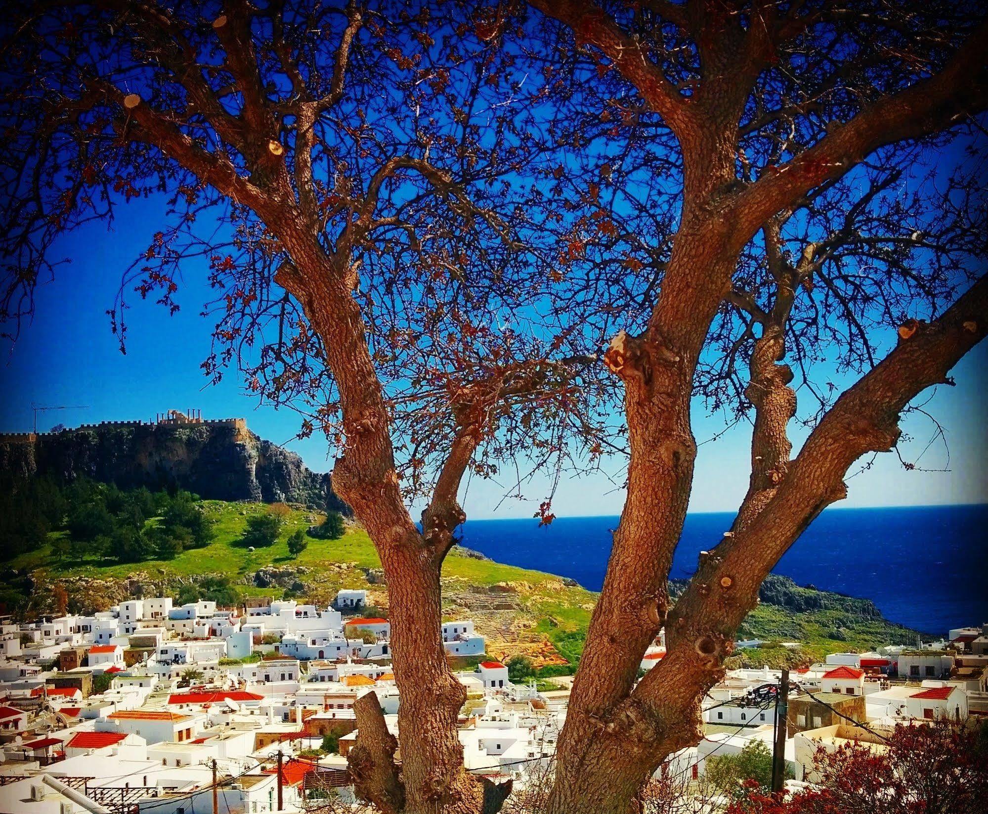 Little Lindos Sea View Studios Bagian luar foto